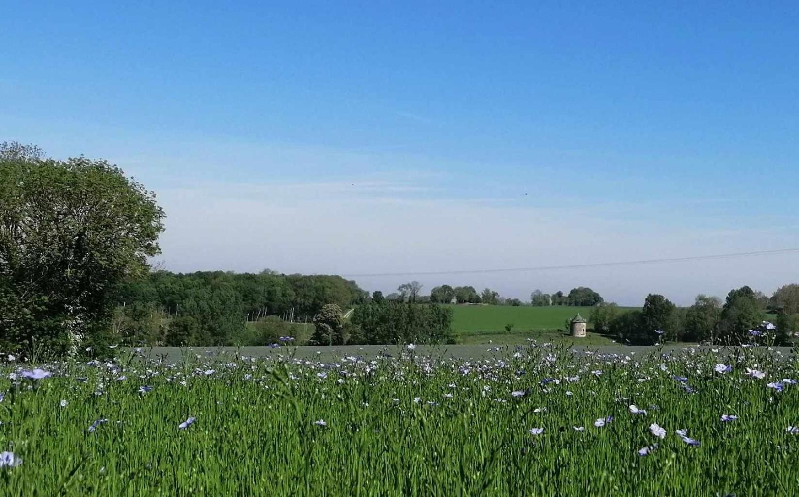 فيلا Donnayفي La Vieille Ferme المظهر الخارجي الصورة